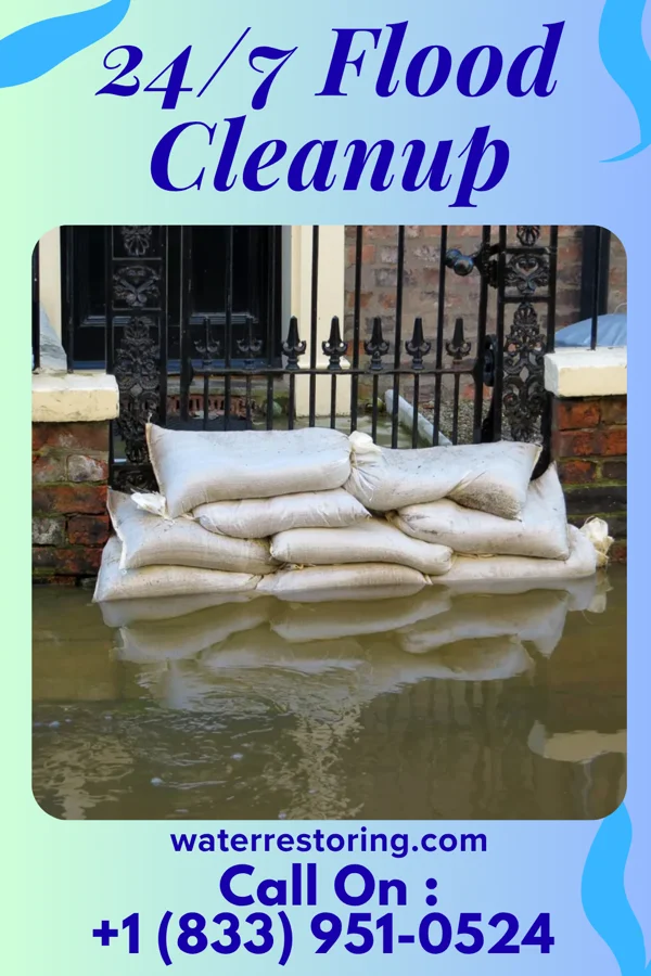 24/7 Flood Cleanup in Southern Shores, NC