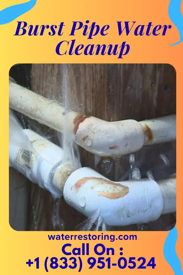 Burst Pipe Water Cleanup in Southern Shores, NC