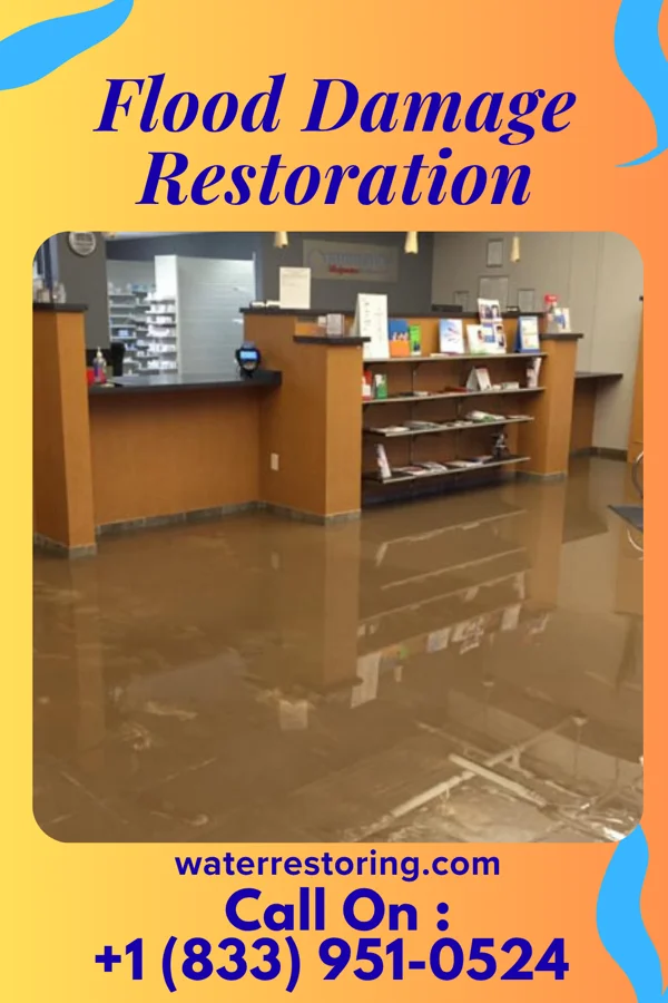Flood Damage Restoration in Southern Shores, NC
