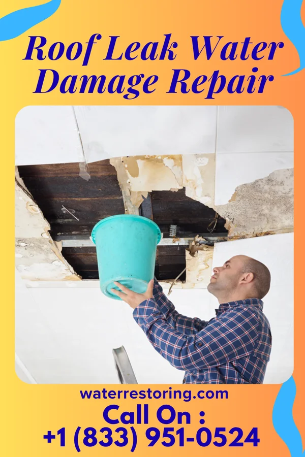 Roof Leak Water Damage Repair in Southern Shores, NC