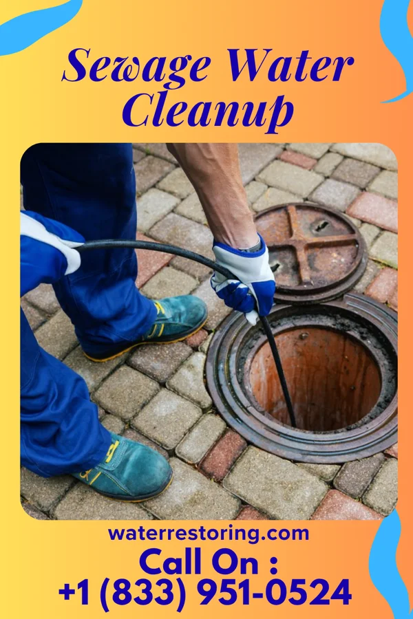 Sewage Water Cleanup in Southern Shores, NC